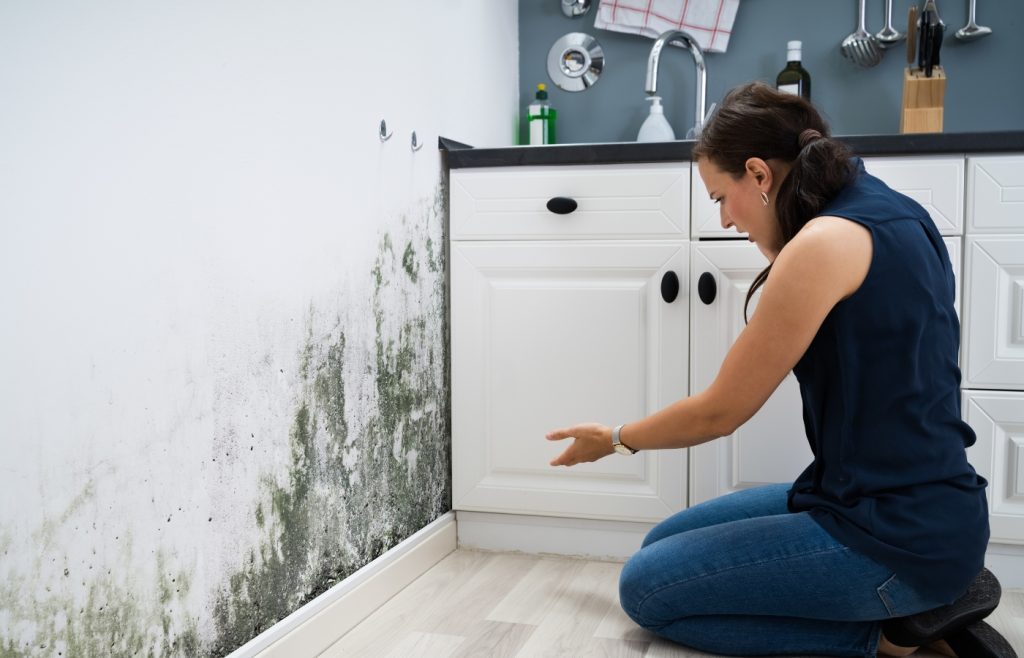 Cleaning mold on a wall solution