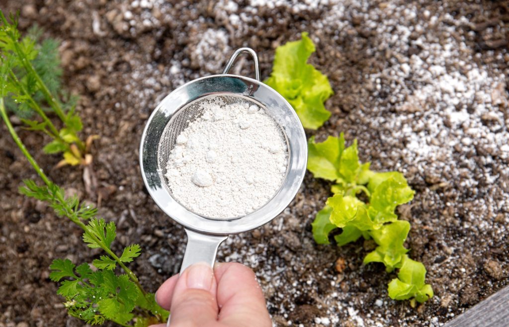 diatomaceous earth garden