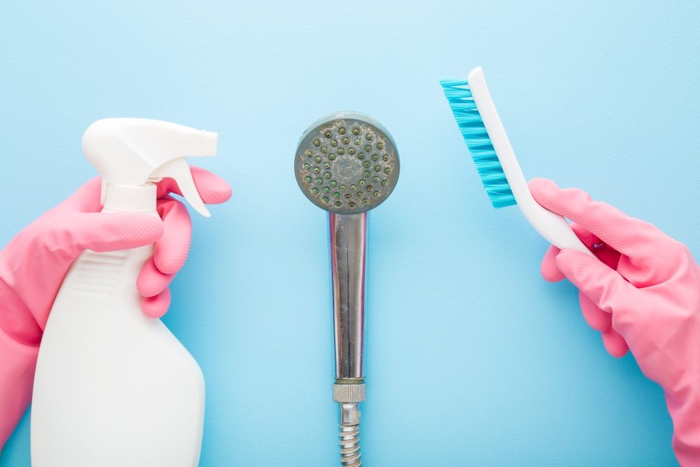 tips against limescale showerhead